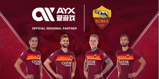 合理的財務